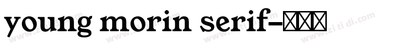 young morin serif字体转换